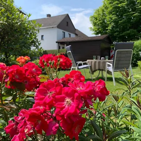 Tinytimeout Westerwald