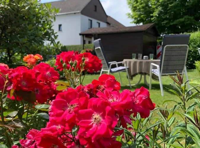 Tinytimeout Westerwald